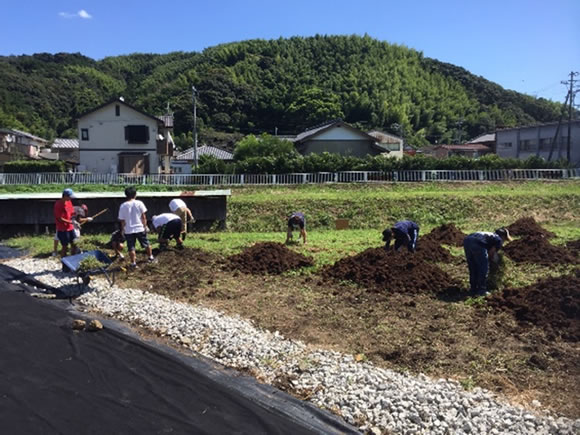 アグリンク食育活動 ジャガイモを畑に植える