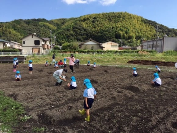 アグリンク食育活動 大根の種まき