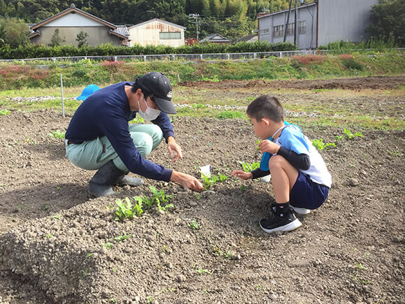 アグリンク食育活動 大根の間引き