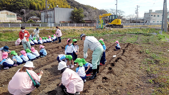 アグリンク食育活動 ジャガイモ植え体験